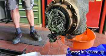 Angelschnüre legen Mainfähren lahm: Stadt Volkach erinnert an Angelverbot in Fährnähe - inFranken.de