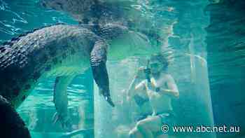 In Australia's north, venues are struggling to find staff. Can the federal jobs summit help them?