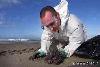 Sversamento olio combustibile, stop balneazione a Monfalcone - Agenzia ANSA