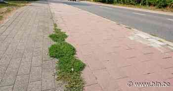 Brusselsesteenweg krijgt vanaf volgende week nieuwe enkelrichtingsfietspaden | Overijse | hln.be - Het Laatste Nieuws