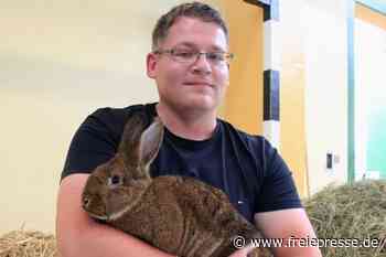 Wiener bringen jungem Züchter Glück - freiepresse.de