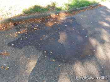 Sporcizia e situazioni di disagio nel parco di corso Bormida - Prima Vercelli