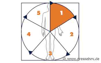 Meldungen aus Bildung und Wissenschaft - Klinische Prozessmodellierung, Deutsche Gesellschaft für Workflow-Management im Gesundheitswesen (DGWMiG) e.V., Pressemitteilung - PresseBox