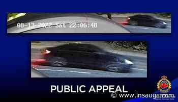 Hamilton Police seeking witnesses after vehicle arson in Dundas | inTheHammer - insauga.com