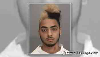 Hamilton man's manslaughter trial will have a new prosecutor | inTheHammer - insauga.com