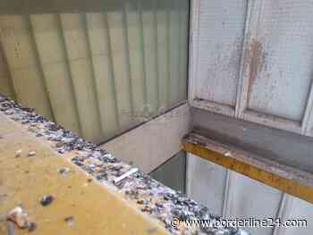 Bari, i cornicioni ricoperti da escrementi di colombi: il "panorama" dall'ospedale San Paolo - Borderline24.com