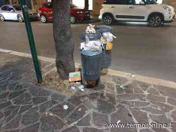 Termoli: Rifiuti, «Il rispetto è verso tutti» - Termoli Online