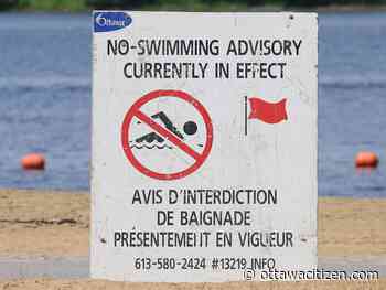 Swimming 'not recommended' at Britannia, Mooney’s Bay, Petrie Island East Bay - Ottawa Citizen