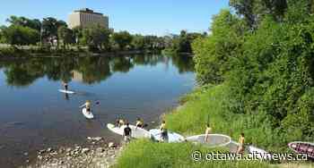 Laura Zak's personality is perfect for Ottawa Stand Up Paddleboard - Ottawa.CityNews.ca