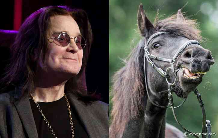 Ozzy Osbourne gave up taking acid after talking to horse for an hour