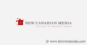 Palestinians accuse Canada of having a double standard on Israel - TimminsToday