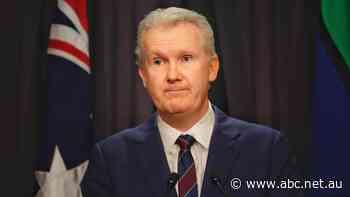 Employment Minister Tony Burke 'really interested' in multi-employer bargaining proposal as jobs summit looms
