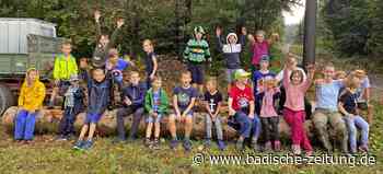 Nach dem Trockenmauer-Bau wird’s nass - Ringsheim - badische-zeitung.de