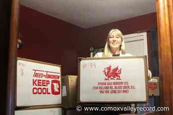 Tamara Meggitt to run for Area A director - Comox Valley Record