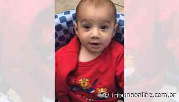 Bebê de 7 meses morre após engolir lagarta em Guarapari - Tribuna Online - Tribuna Online