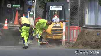 Hitteplan Hasselt maakt van schoolstraat bomenlaan - TV Limburg