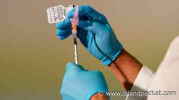 Coronavirus updates for Aug. 25: Here’s what to know in South Carolina this week - Hilton Head Island Packet