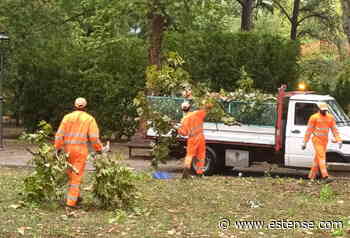 Maltempo, 150 piante cadute e 200 segnalazioni: potenziate le squadre di Ferrara Tua | estense.com Ferrara - Estense.com