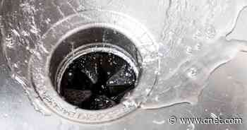 Kill That Nasty Smell Coming From Your Garbage Disposal     - CNET