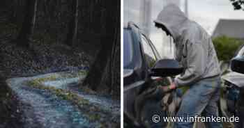 Wilhelmsthal: Einbrecher stehlen Auto - Zeuge macht unerwartete Entdeckung im Wald
