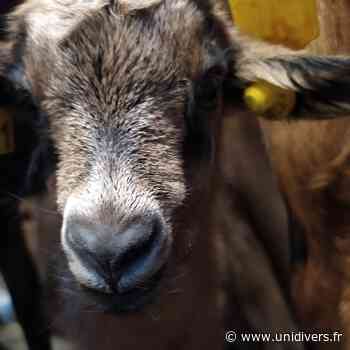 Vente et marché à la chèvrerie de Valbonne La chèvrerie de Valbonne Valbonne vendredi 17 juin 2022 - Unidivers