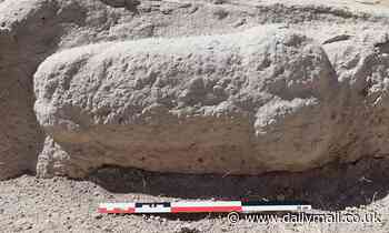'Unusually large' penis carving uncovered on a Roman tower during excavations in southern Spain