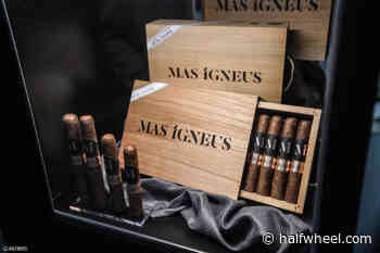 ACE Prime Shipping Maria Lucia & Mas Igneus Tomorrow - halfwheel.com