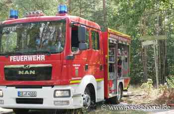 FW Celle: Waldbrand in Altencelle - rund 5.000 m² Unterholz brennen - Lagemeldung 14:00 Uhr! - Presseportal.de
