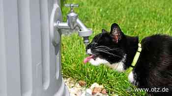 Hitzewarnung am Freitag für Jena