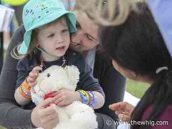 Annual teddy bear picnic this Saturday - The Kingston Whig-Standard