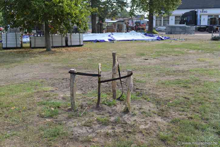 Boompjes gesneuveld na boemelnacht, burgemeester doet oproep naar getuigen