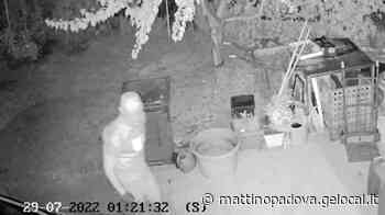 Vigonza, faccia a faccia con i ladri alle due di notte. La minaccia: «Non chiamate i carabinieri» - Il Mattino di Padova