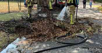Kleine tractor vat vuur aan Hortensialaan | Kalmthout | hln.be - Het Laatste Nieuws
