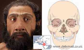 Most interbreeding between humans and Neanderthals took place between North Africa and Iraq