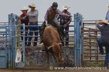 Thrills and spills at Didsbury rodeo - Mountain View TODAY