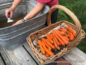 GARDENER'S CHECKLIST: Week of August 25, 2022 - theberkshireedge.com