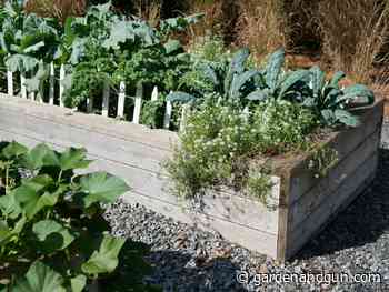 Gardener's Secrets: Prep Your Fading Summer Garden for Fall - Garden & Gun