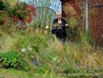 Rewilding gardener opens up her home to inspire people to embrace the natural world. - Shropshire Star