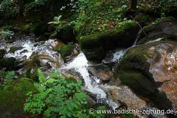Die Höllschlucht in Steinen ist eine himmlisch schöne Schlucht - Steinen - badische-zeitung.de