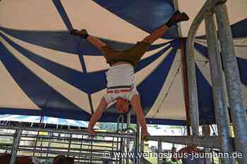 Zirkus Lamberti gastiert in Steinen - Artistik und sanfte Pferde-Riesen - www.verlagshaus-jaumann.de