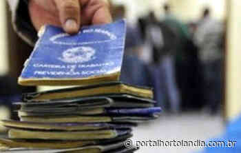 PAT Monte Mor anuncia mais de 150 vagas de emprego - Portal Hortolândia