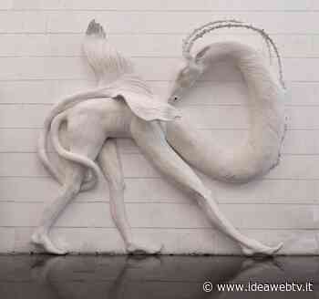 A Cuneo la mostra dedicata a Dario Ghibaudo e al suo Museo di Storia Innaturale - www.ideawebtv.it - Quotidiano on line della provincia di Cuneo - IdeaWebTv