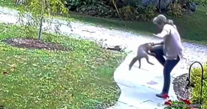 Wild Video: Rabid Fox Sneak Attacks Woman in Her Own Yard, Then She Unleashes a Kick That Would Make Chuck Norris Proud