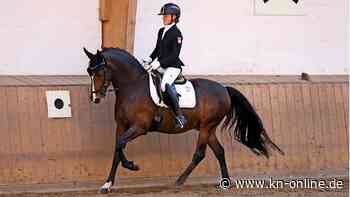 Ehrich siegt bei vorletzter Station des Kuschel Cups in Kellinghusen