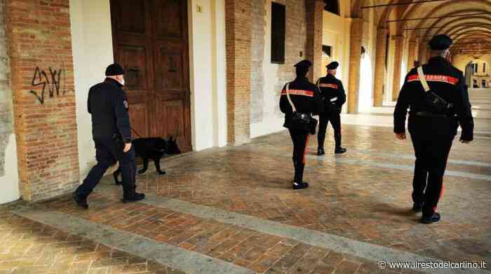 Fabriano, i carabinieri vedono un cumulo di immondizia e trovano un clandestino - il Resto del Carlino
