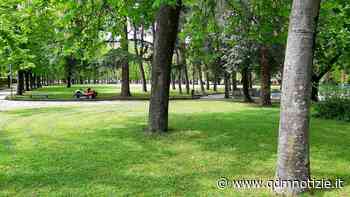 Fabriano / Disinfestazione e derattizzazione: questa notte gli interventi - QDM Notizie