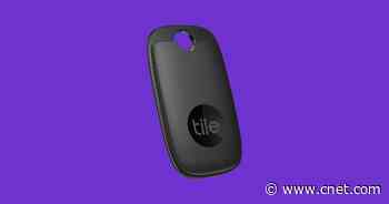 Track Your Most Important Items With Tile Pro While It's On Sale for $28     - CNET