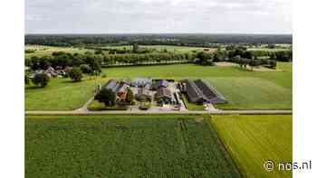 Veel EU-landen rapporteren cijfers stikstof niet aan Brussel - NOS