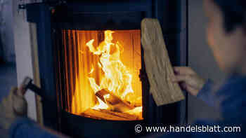 Energiekosten: Was Hausbesitzer mit Kamin jetzt zu Brennholzmangel und hohen Auflagen wissen müssen