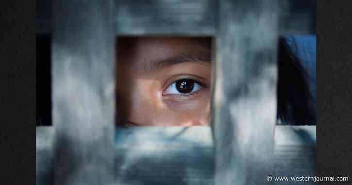 Illegals Accused of Using 'Family Loophole' to Lure, Beat, Stab and Rape Young Girl